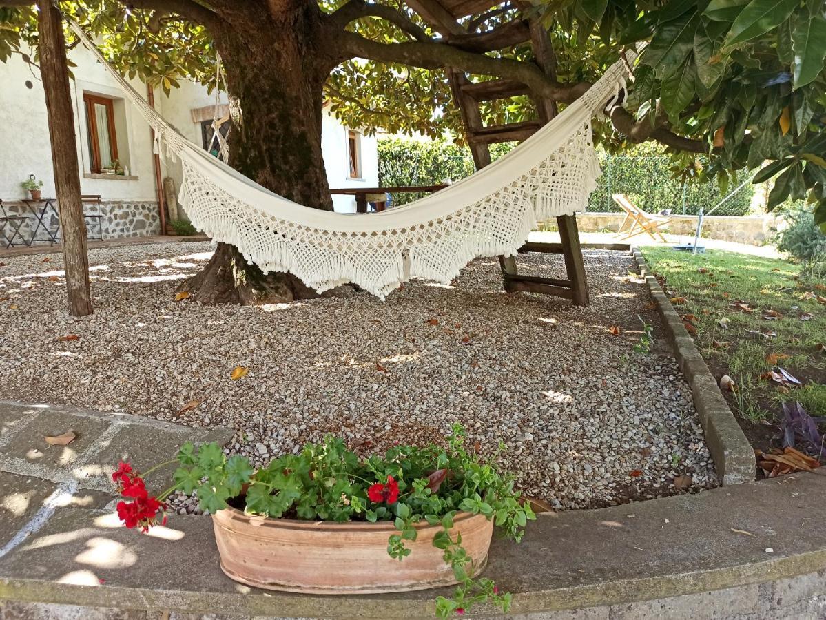 B&B Sole Mio Velletri Zewnętrze zdjęcie