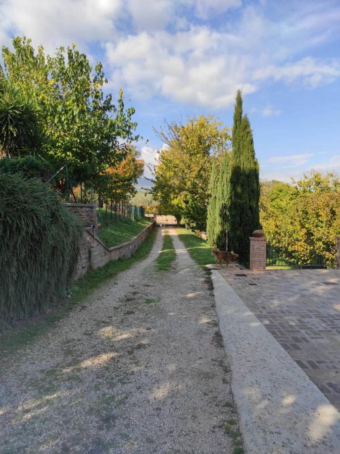 B&B Sole Mio Velletri Zewnętrze zdjęcie