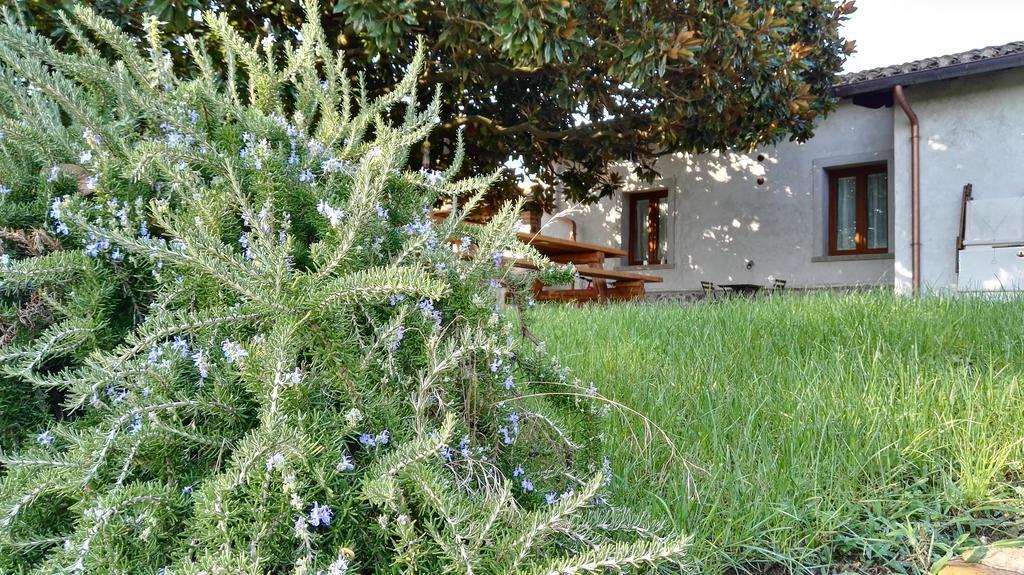 B&B Sole Mio Velletri Zewnętrze zdjęcie
